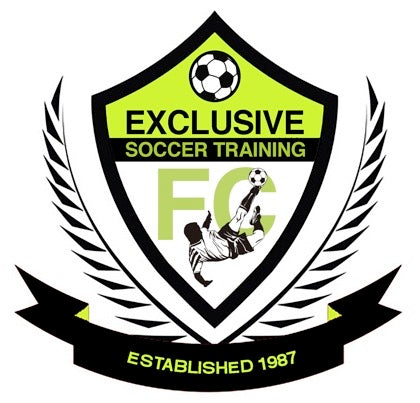 Exclusive Soccer Training