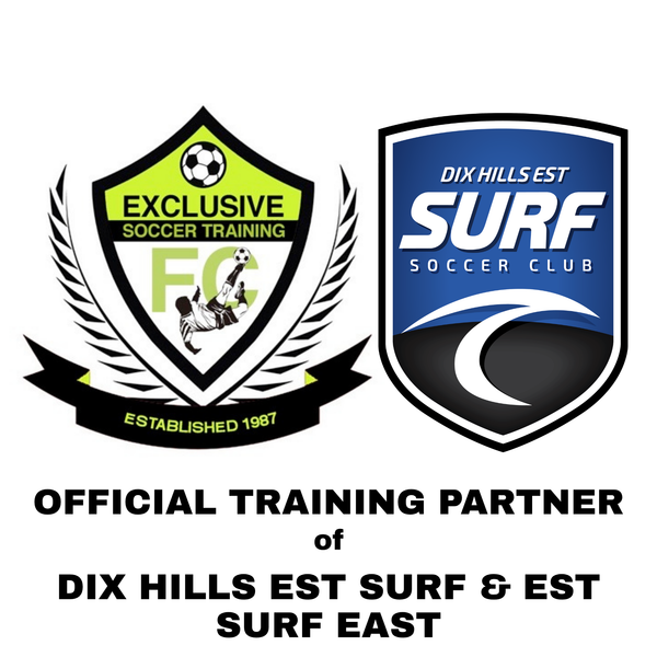 Exclusive Soccer Training