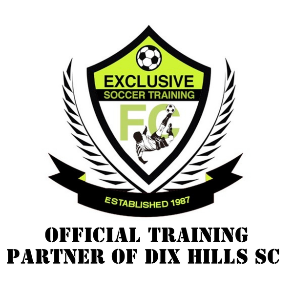 Exclusive Soccer Training